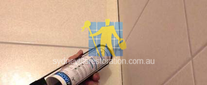Silicone Installation Services In Sydney