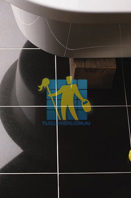 granite polished tile absolute black 