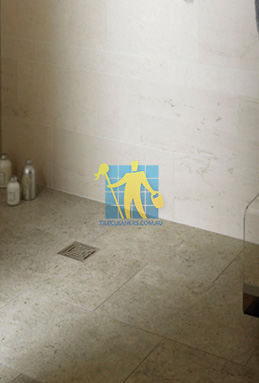 limestone tiles shower moleanos blue Sydney cleaning