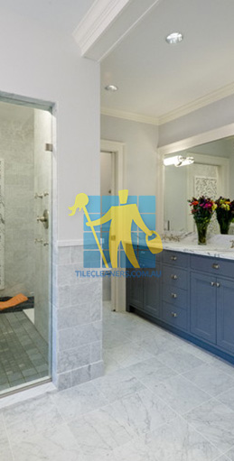 marble tiles floor wall bardiglio marble tumbled light with shower