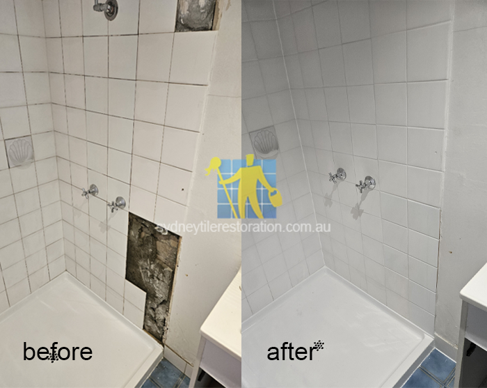 Sydney Tile Restoration Efflorescence Treatment Services In 