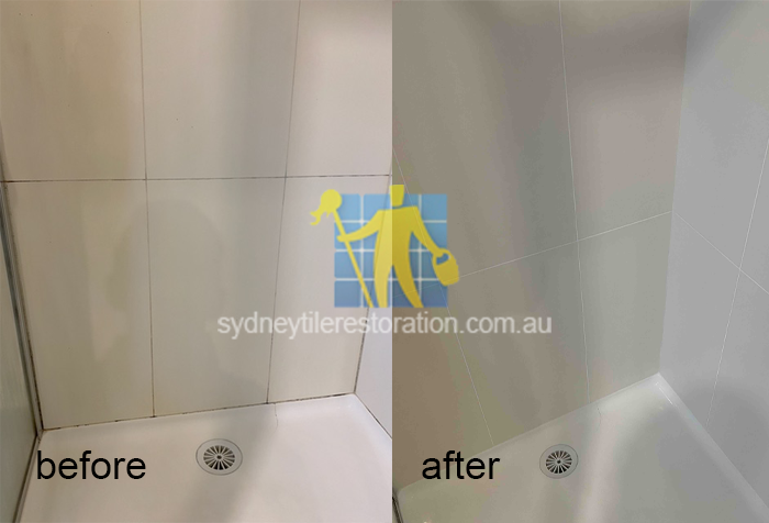 Shower Regrouting and Silicone Replacement Services In Sydney