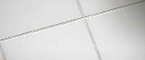 mould-and-algae-treatment