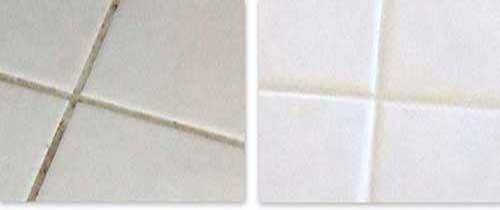 mould-and-algae-treatment