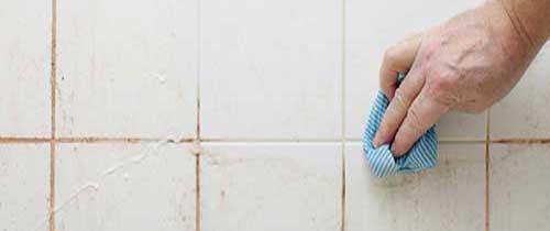 mould-and-algae-treatment