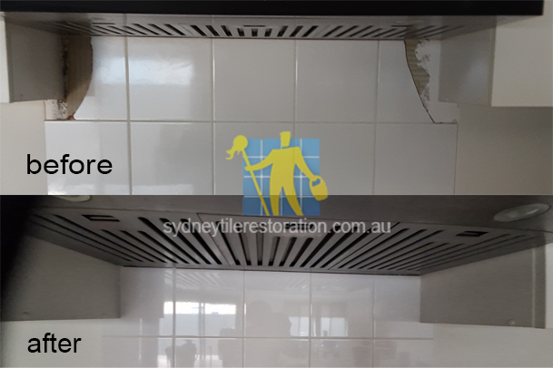 Sydney Tile Restoration Efflorescence Treatment Services In 